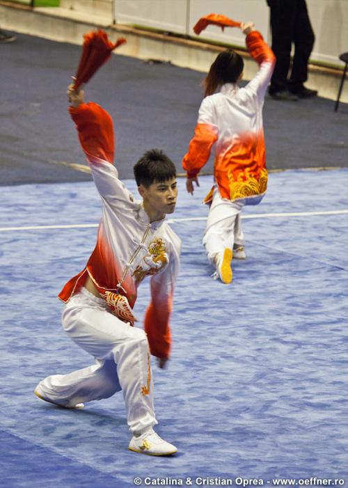 226-Wushu-Taolu-oeffner.jpg